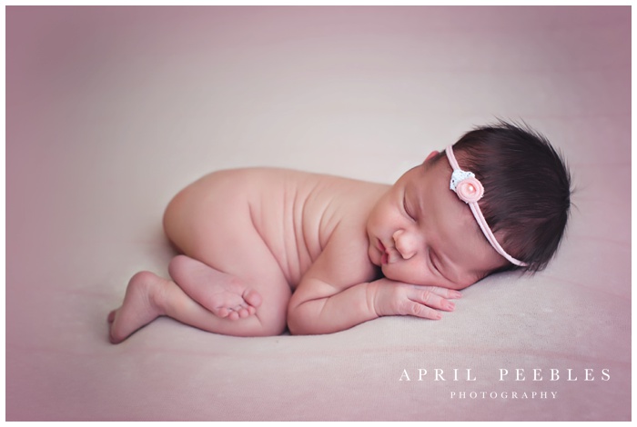 best newborn photographer in fleming island