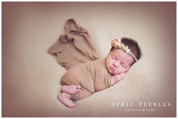 fleming island newborn photographer