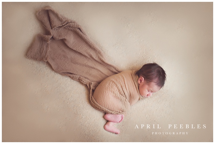 newborn photography jacksonville florida