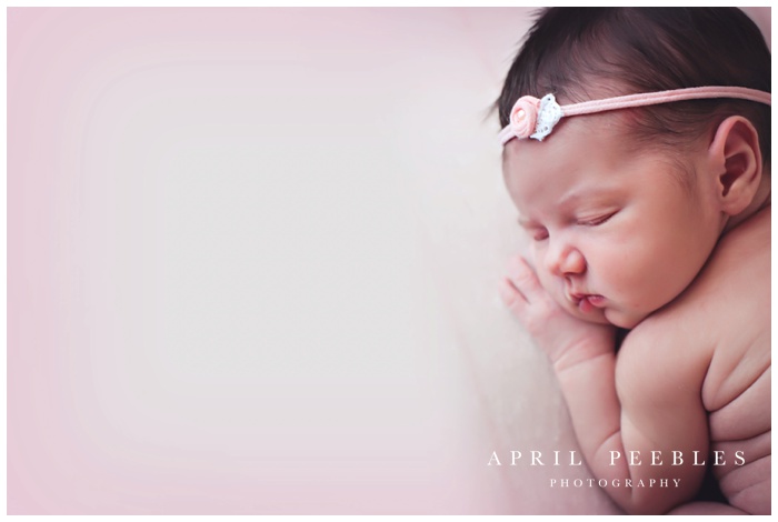 jacksonville florida newborn pictures