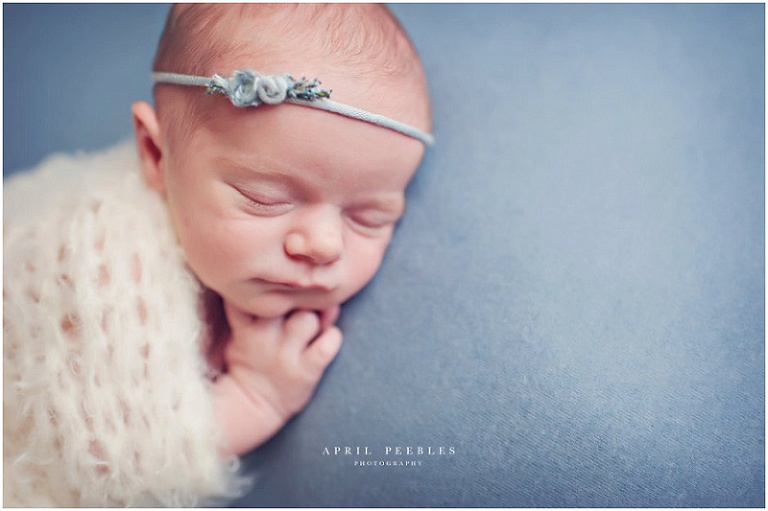 Jacksonville Newborn Photography