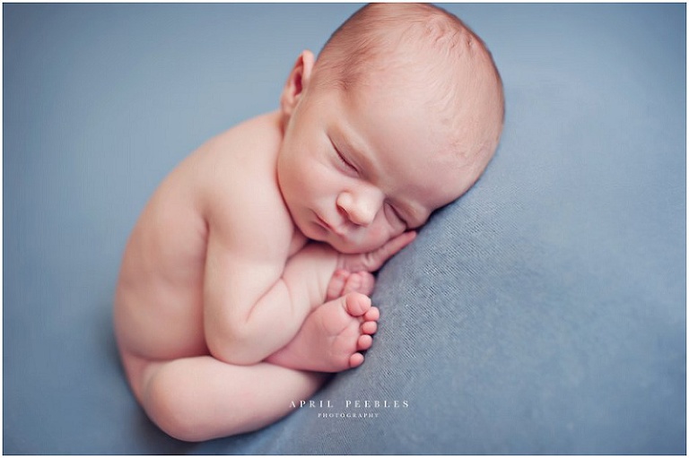 Jacksonville Newborn Photography