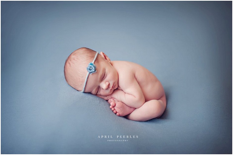 Jacksonville Newborn Photography