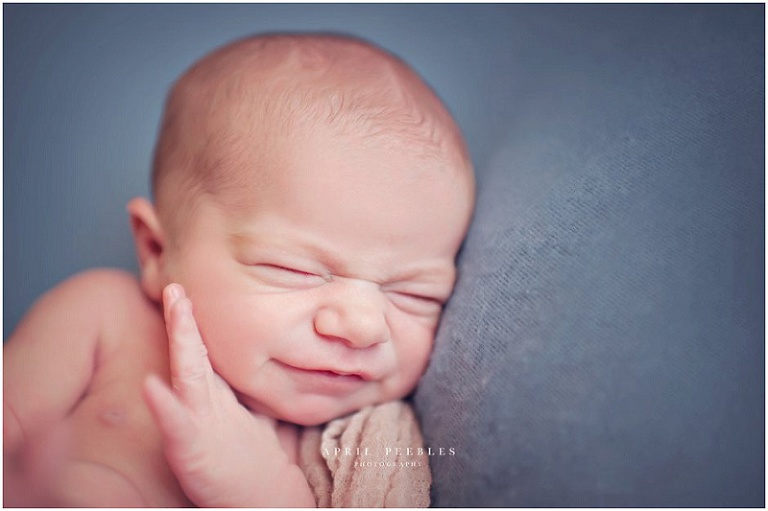 Jacksonville Newborn Photography