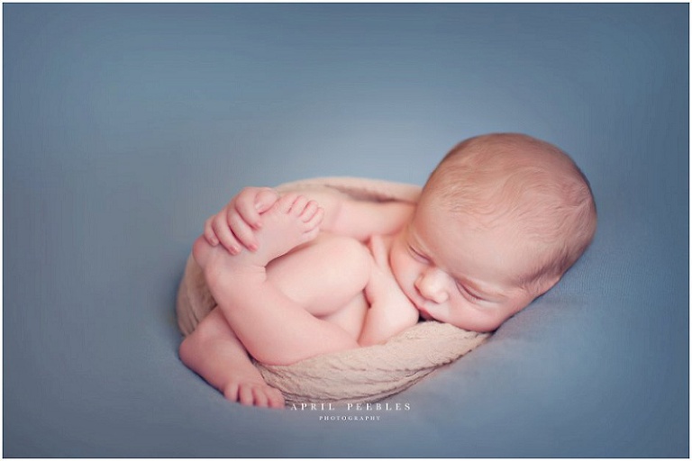 Jacksonville Newborn Photographer