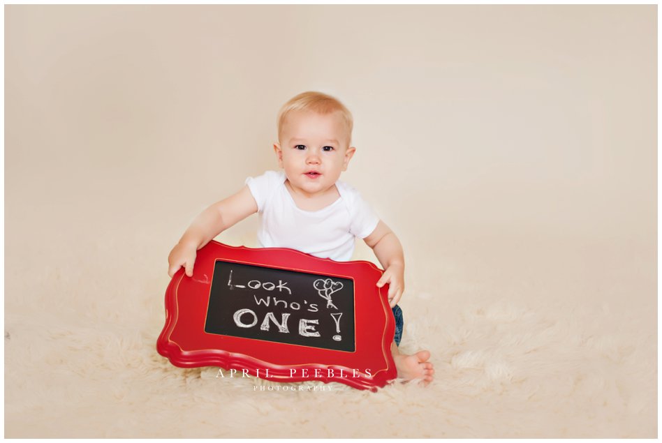 first birthday milestone session in jacksonville, florida