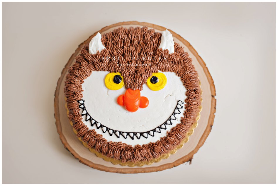 monster where the wild things are cake for smash session first birthday jacksonville