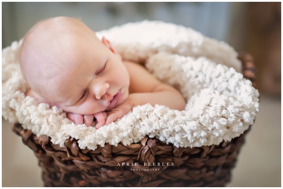 newborn photographer for saint johns florida