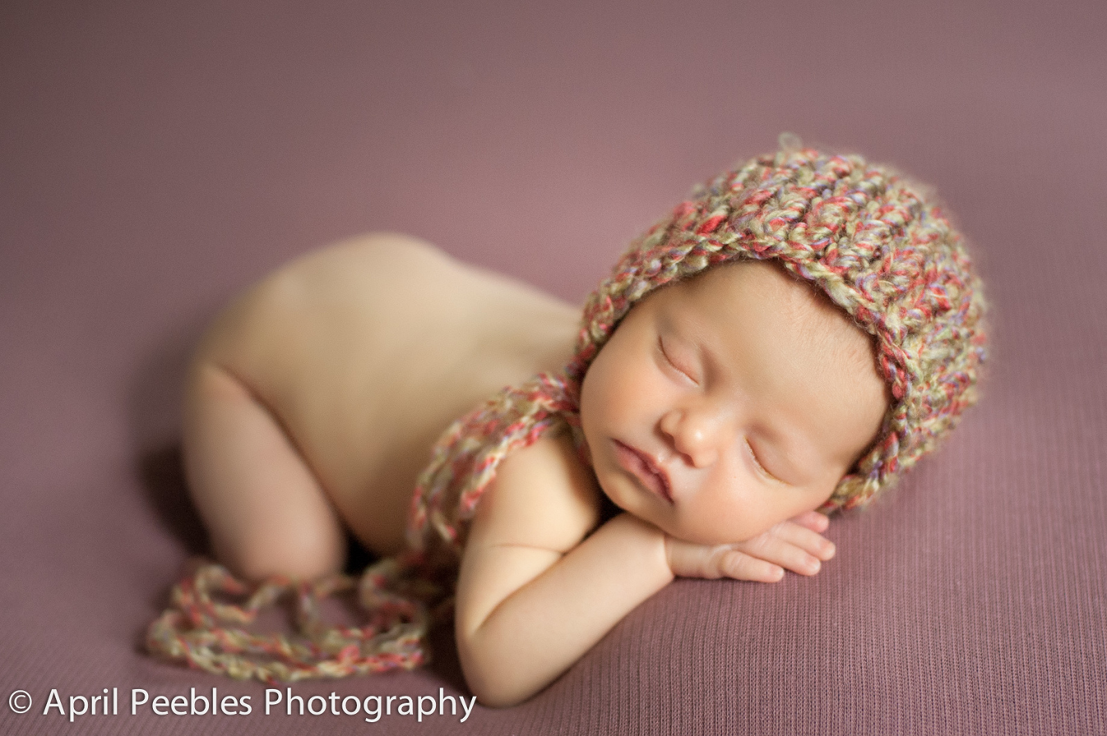 Jacksonville Boutique Newborn Photography