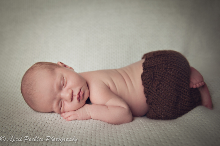 Avondale Newborn Photographer