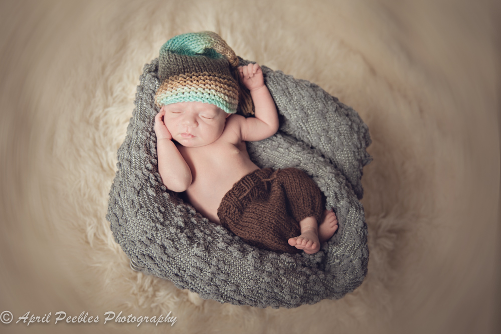 Green Cove Springs Newborn Photographer