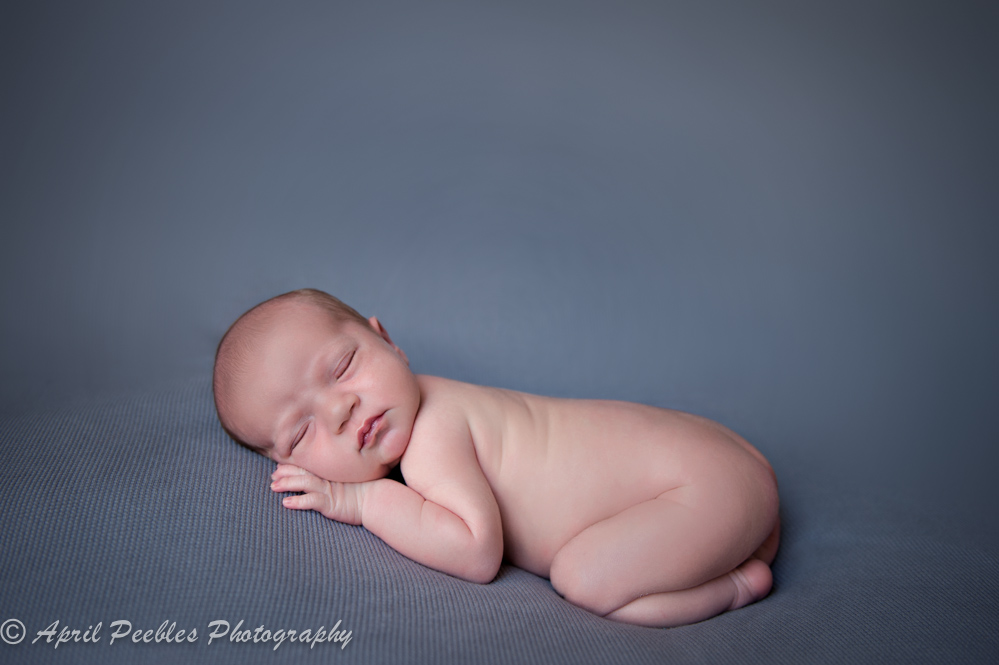 newborn portrait