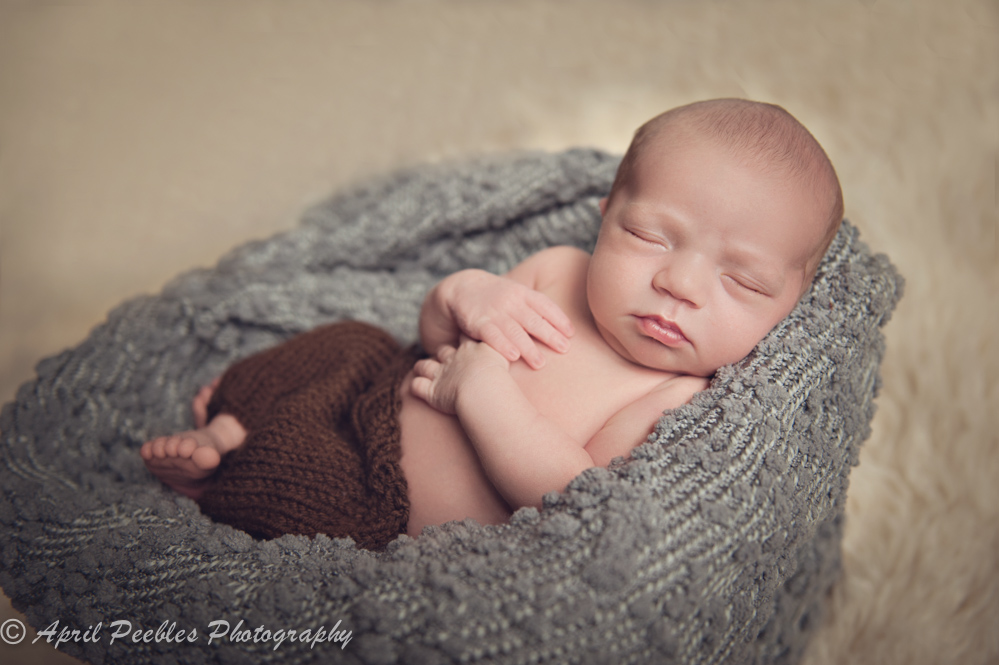 jacksonville newborn photographer