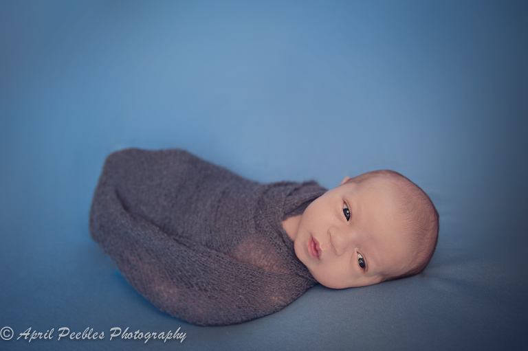 St. Augustine Newborn photographer