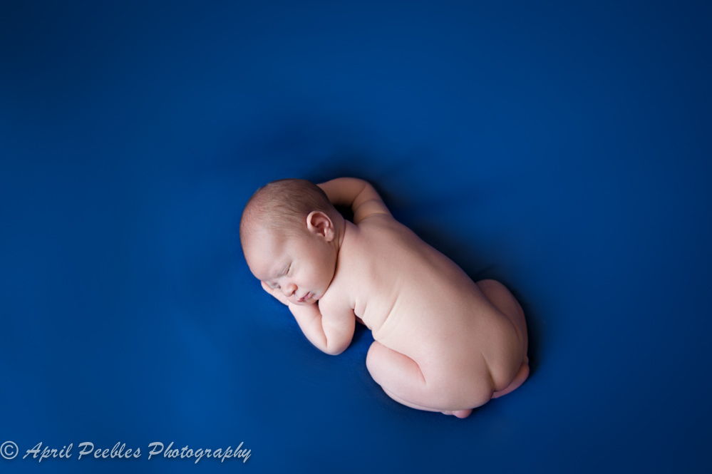 Green Cove Springs Newborn Photographer