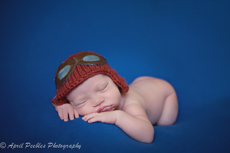 Jacksonville Newborn Photographer