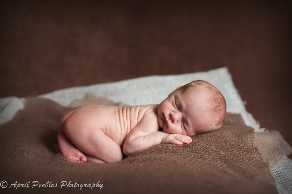 Jacksonville Newborn Photographer