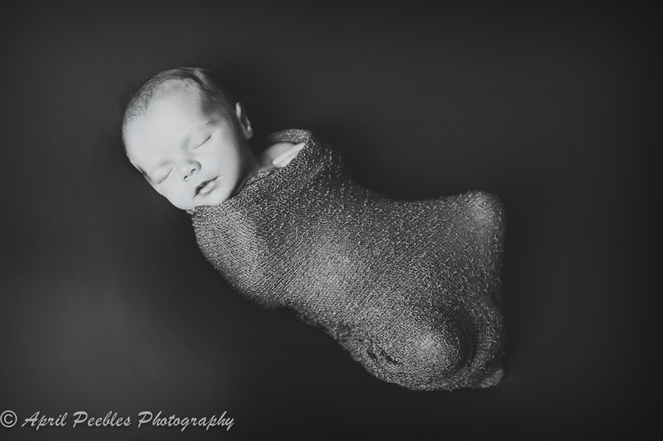 Ponte Vedra Premier Newborn Photographer