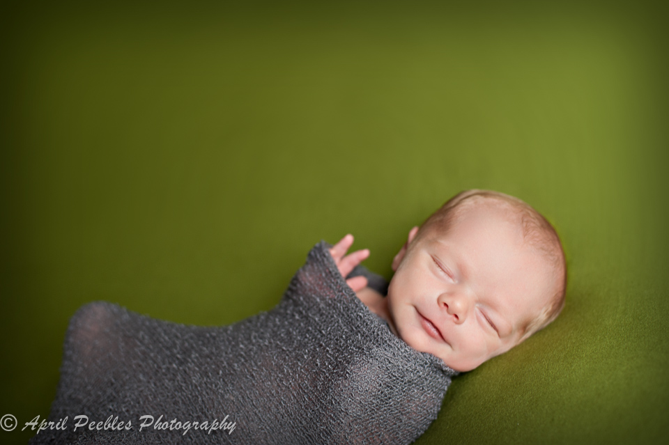 Jacksonville Newborn Photographer