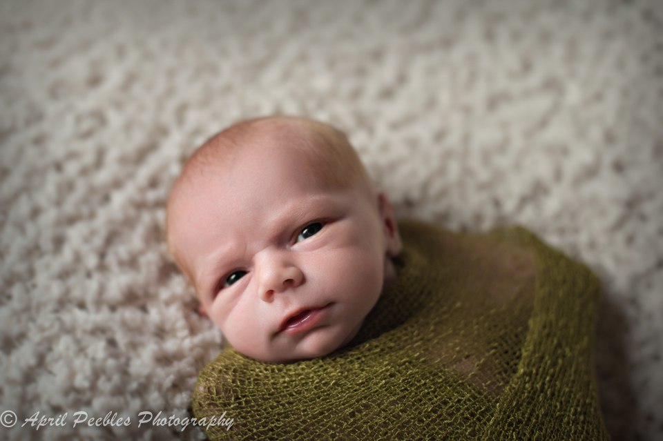 Jacksonville Baby Photographer