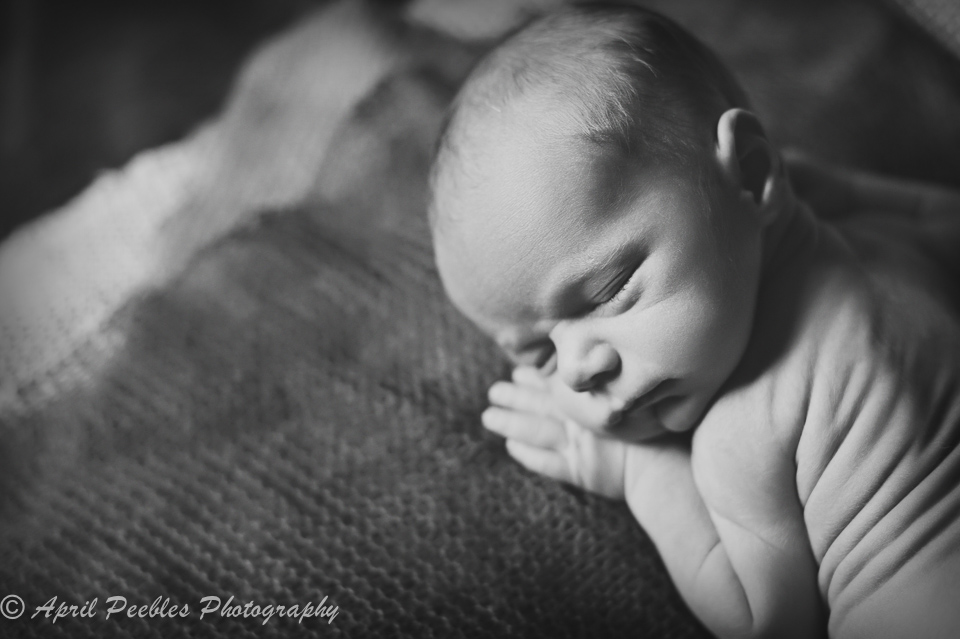 Jacksonville Newborn Photographer