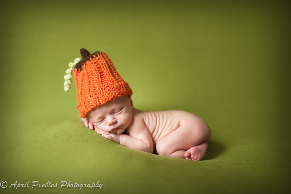 Mandarin Newborn Photographer