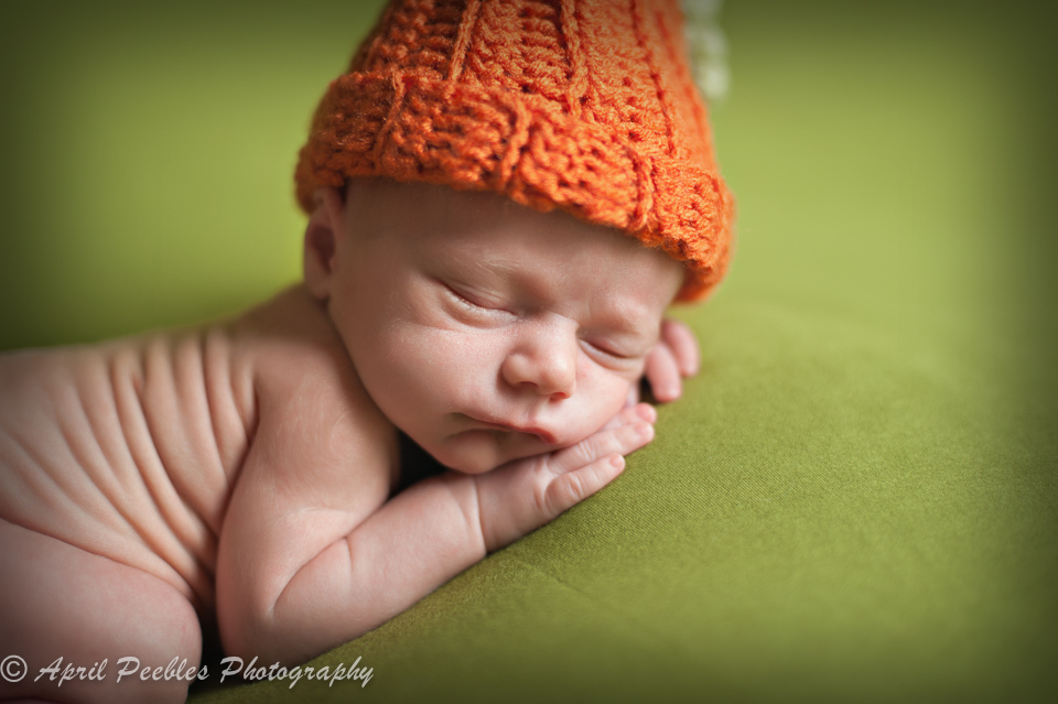 Ponte Vedra Premier Newborn Photographer