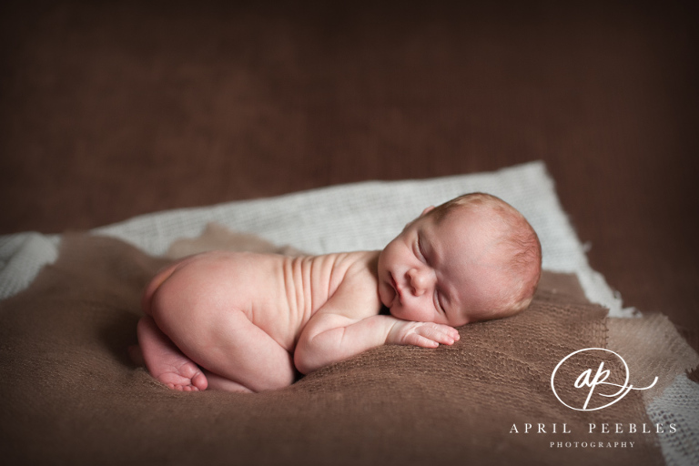 Ponte Vedra Newborn Photographer