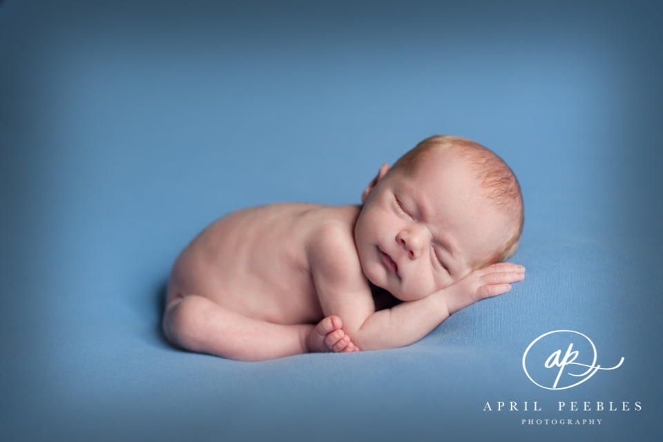 Fleming Island Newborn Photographer