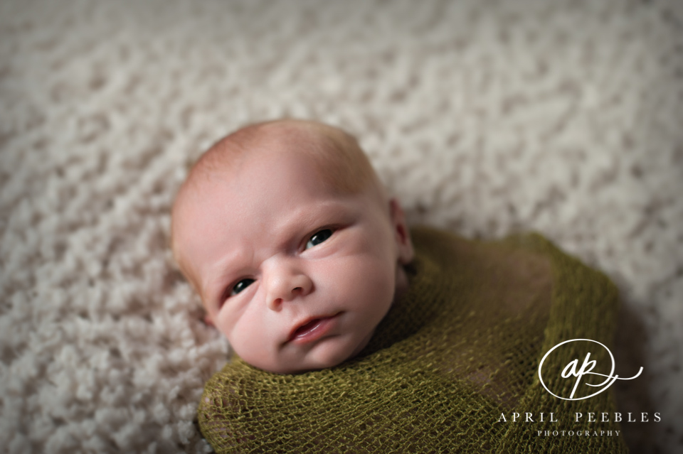 Jacksonville Baby Photographer