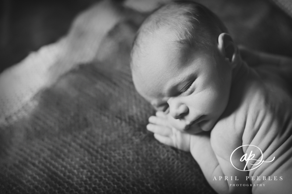 Ponte Vedra Newborn Photographer