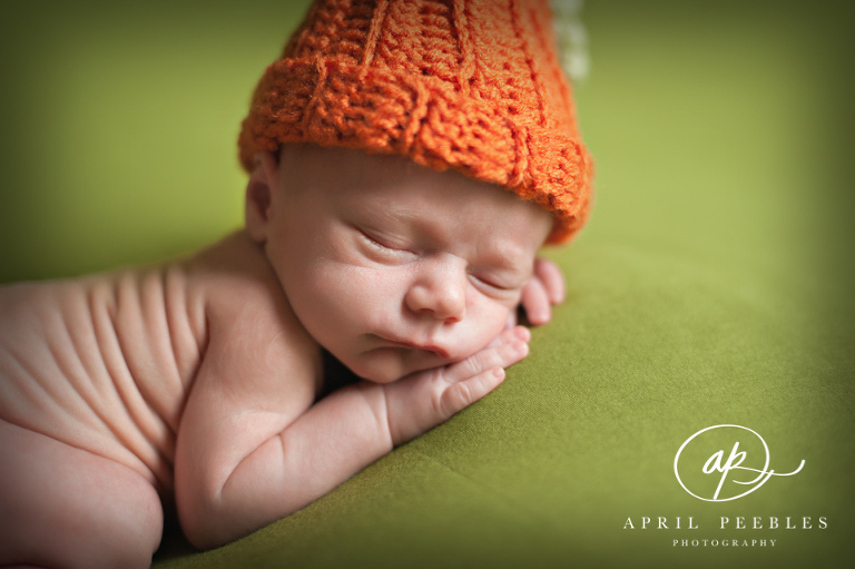 Fleming Island Newborn Photographer