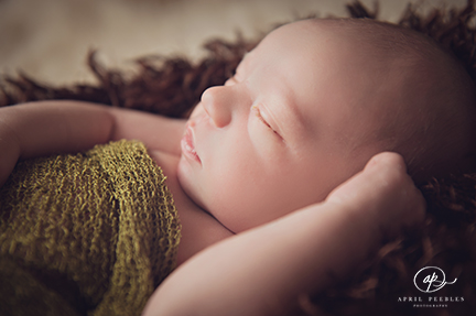 newborn photographer Ponte Vedra