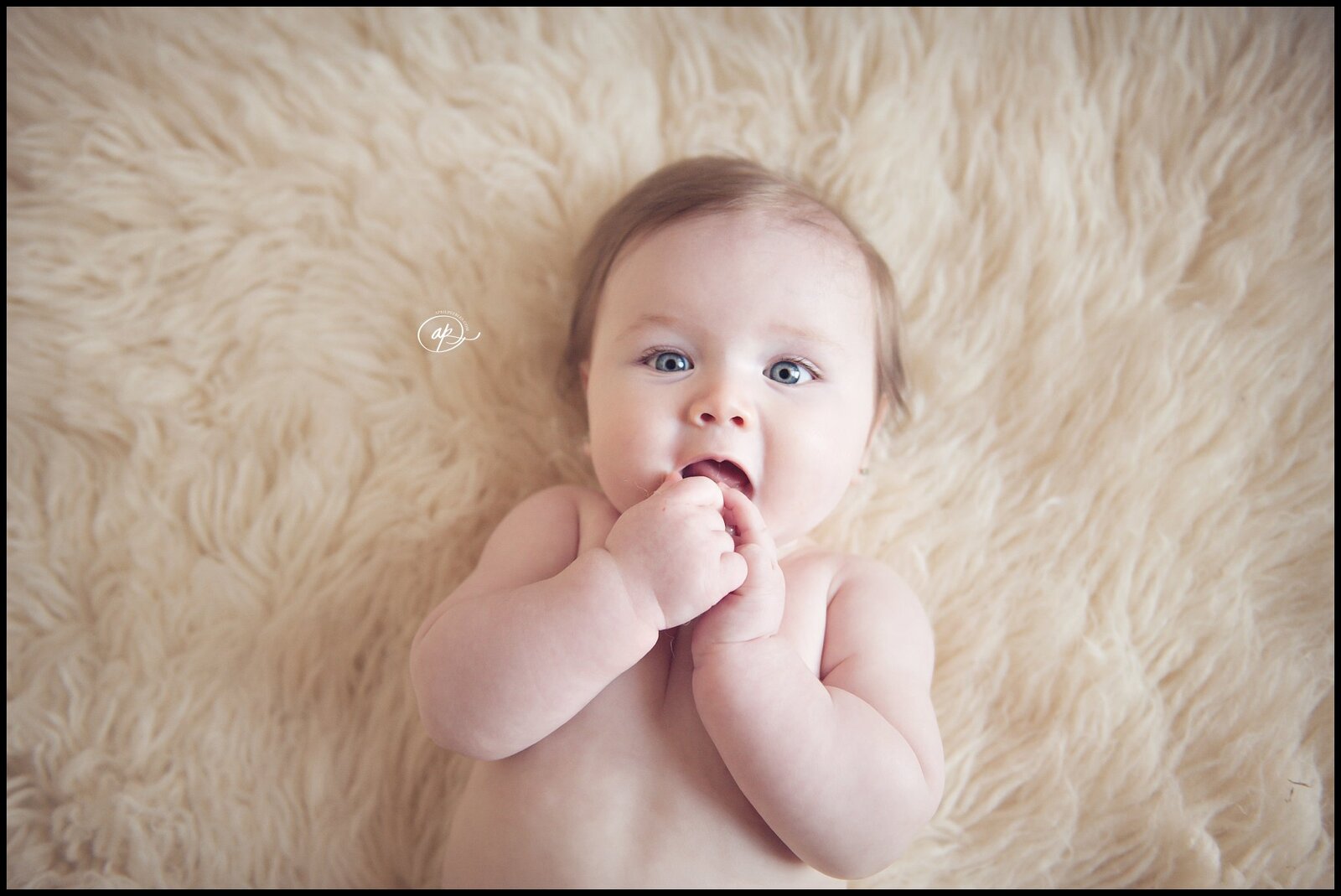 Jacksonville Baby Photographer