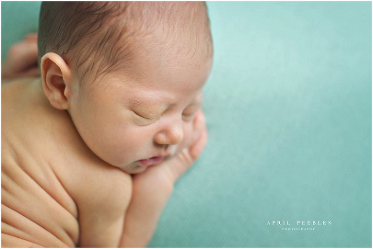 Jacksonville Newborn Photographer