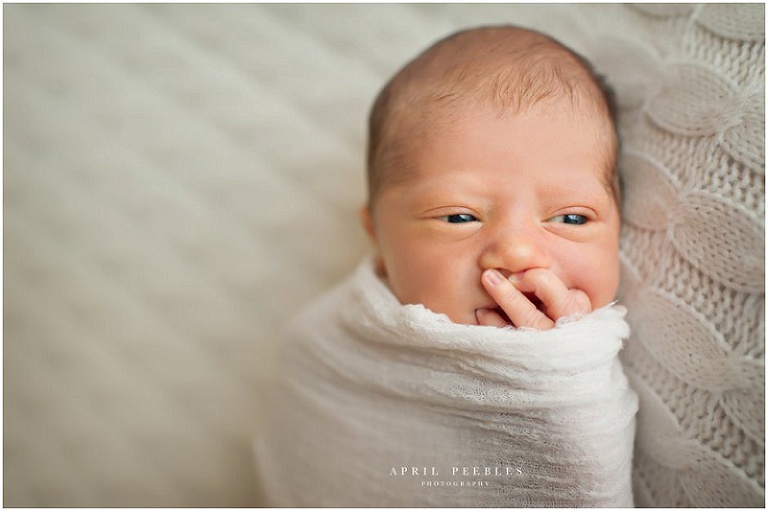 Jacksonville Newborn Photographer