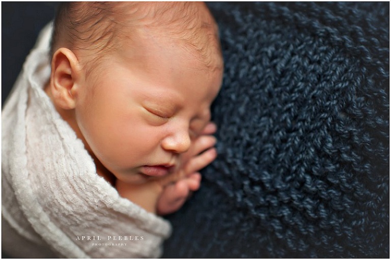 Jacksonville Newborn Photographer