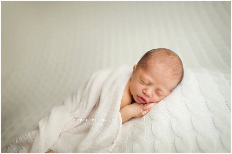 Jacksonville Newborn Photographer