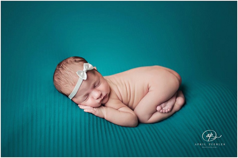 Jacksonville Newborn Photographer