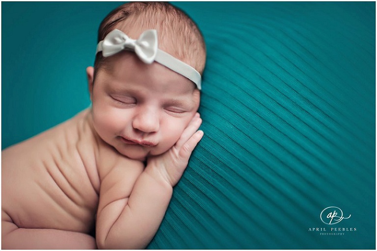 Jacksonville Newborn Photographer