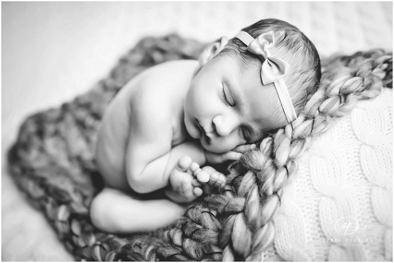 Jacksonville Newborn Photographer