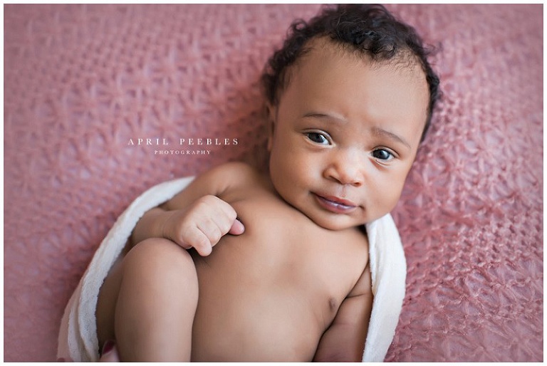 Jacksonville Newborn Photographer