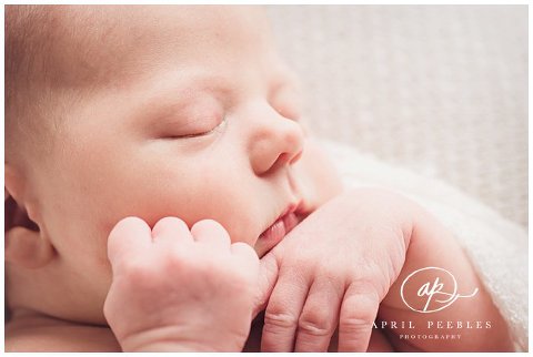 Jacksonville Newborn Photographer