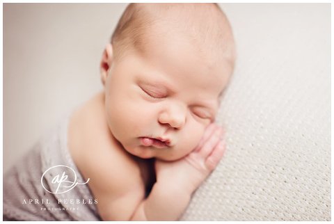 Fleming Island Newborn Photographer