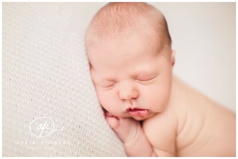 Jacksonville Newborn Photographer