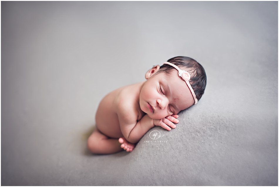 jacksonville newborn pictures