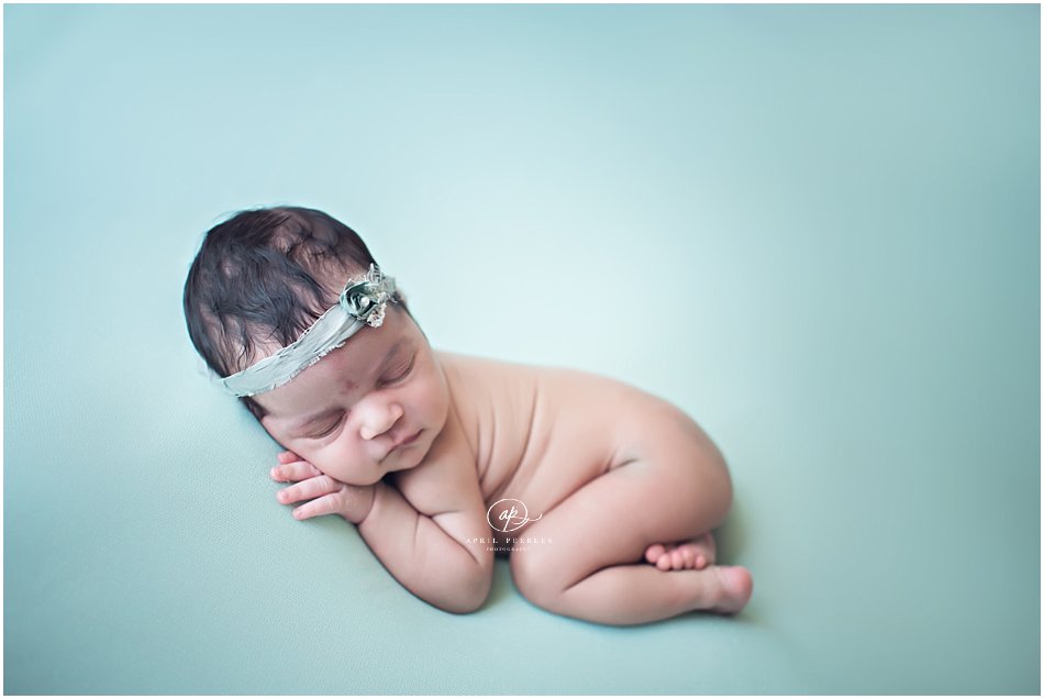 newborn pictures in fleming island