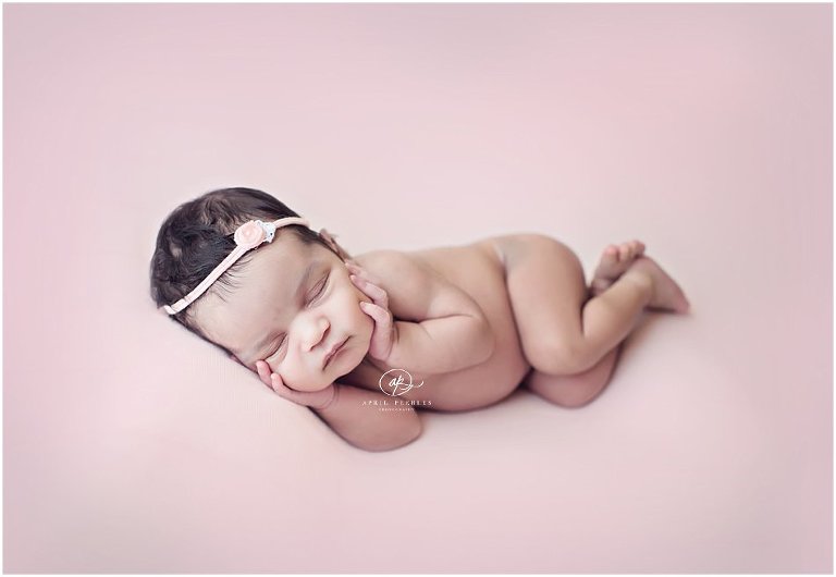 jacksonville newborn pictures