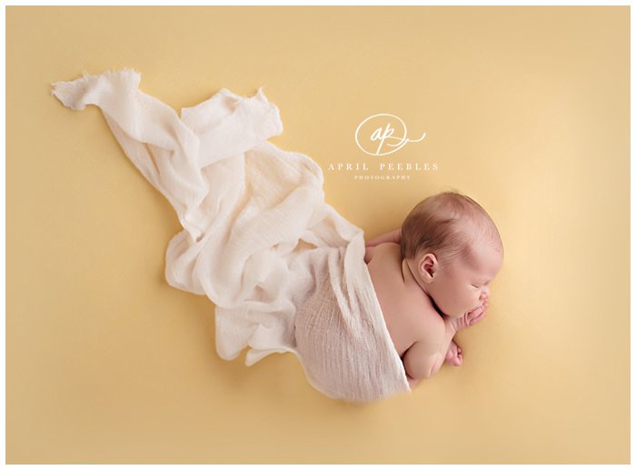 fleming island newborn photographer