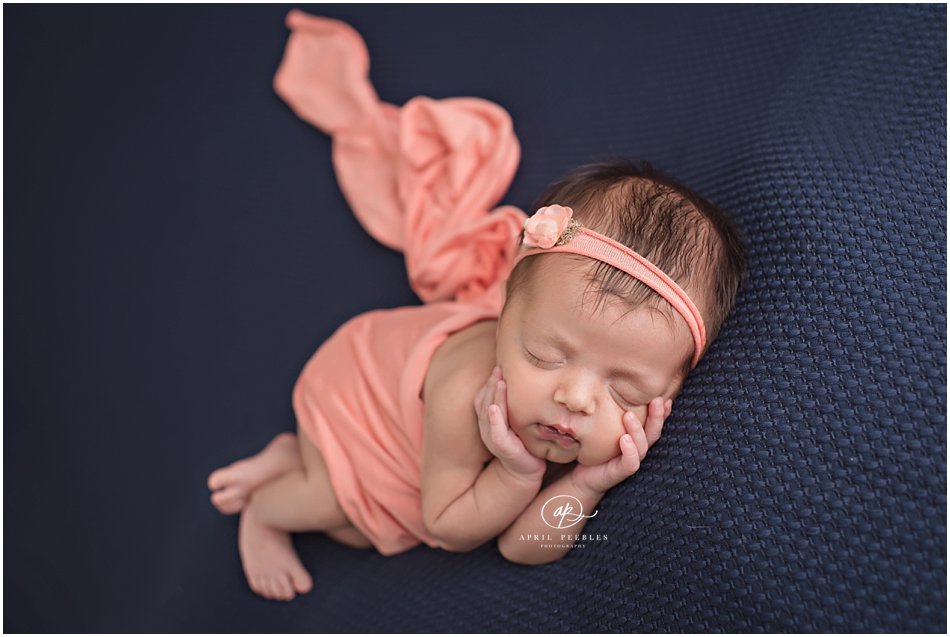 fleming island newborn photographer